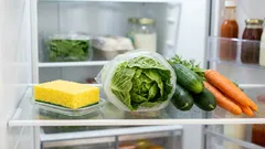 冷蔵庫のスポンジ：経験豊富な主婦が使う簡単なコツ