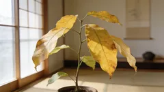 植物が葉を落とすのはなぜ？1分で本当の理由がわかる方法