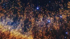 ジェームズ・ウェッブ宇宙望遠鏡がヘリックス星雲の最も詳細な画像を捉えた